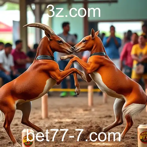 VIP Service bet777 - 24/7 Support and Exclusive Benefits